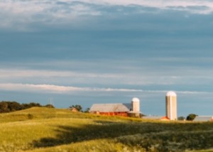 Farm Photo